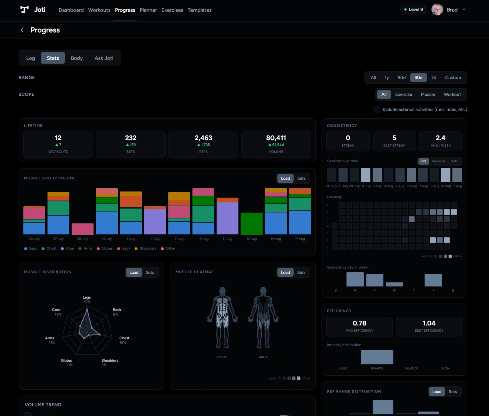 Joti web app Progress page showing lifetime totals, muscle group volume, consistency streaks and a training heatmap